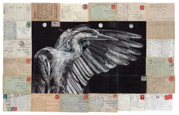 flock of stories