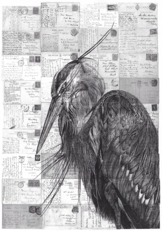 words have hollow vertebrae