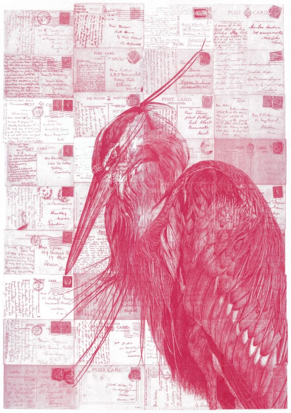 words have hollow vertebrae