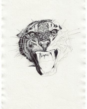 extinction crisis (warm up sketch)