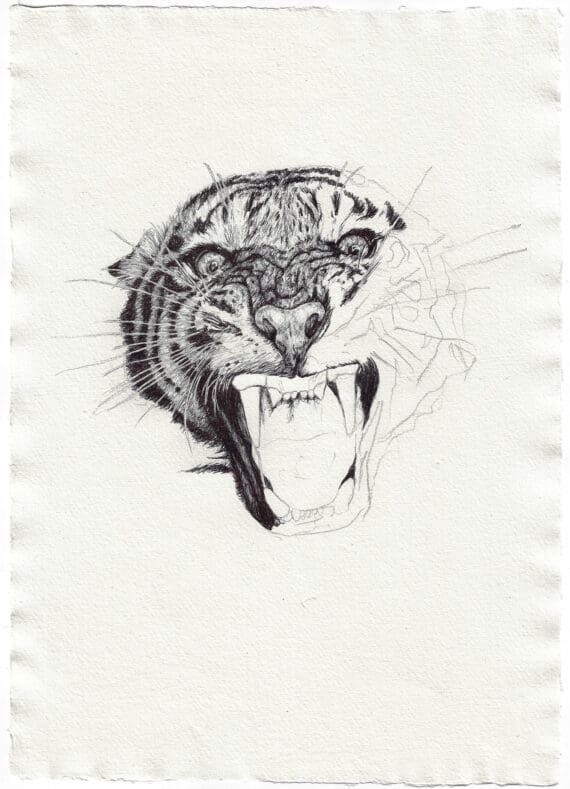 extinction crisis (warm up sketch)