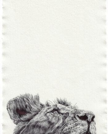 the hunt (warm up sketch)