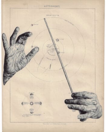 a diagram of the anatomical heart